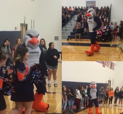 Hawks Mascot