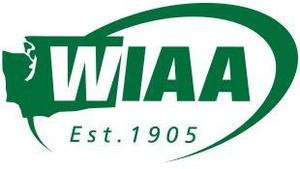 Rooks Earns WIAA Scholarship Award