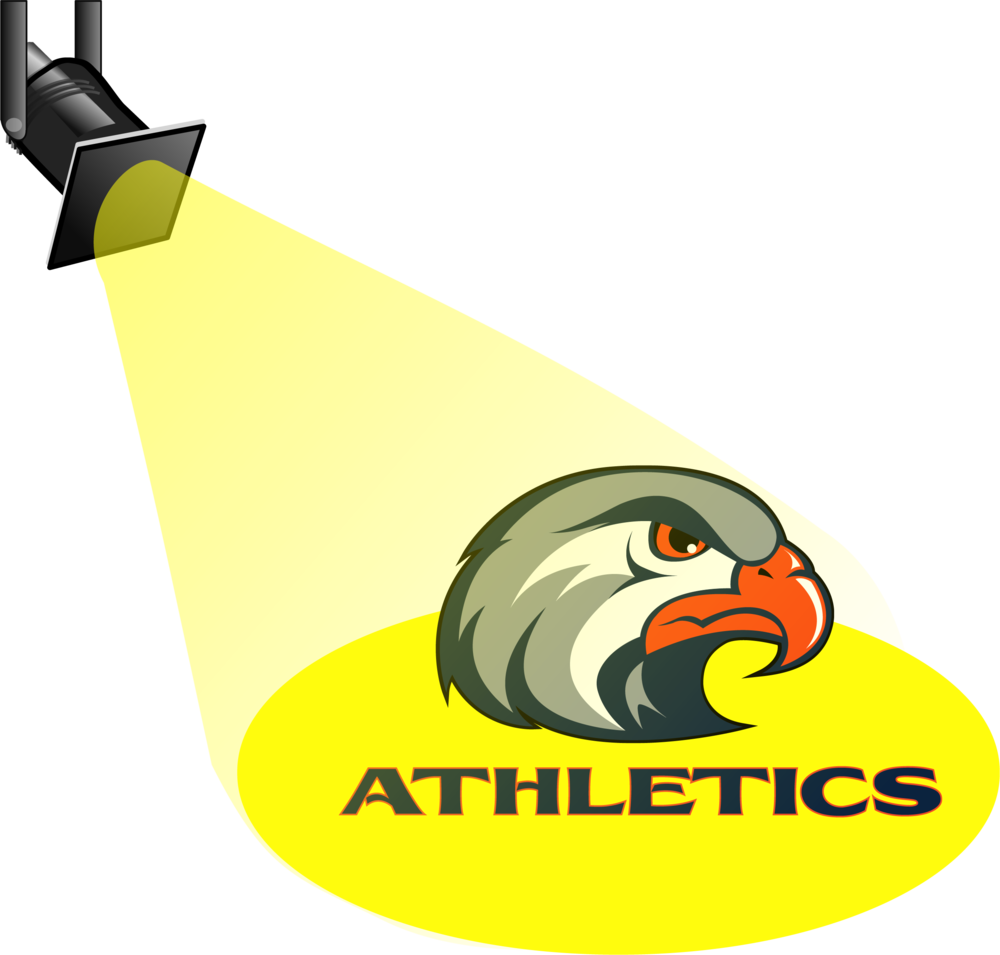 Hawks Athlete Spotlights - Golf and Baseball!