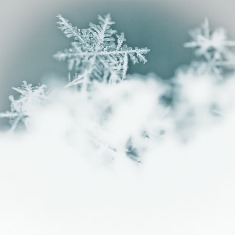 Snow Make Up Day - May 10, 2019