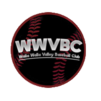 Local Baseball Opportunity for Players
