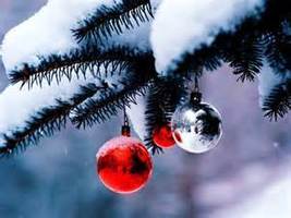 Important Holiday Break Information