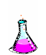 STEM It Rodeo
